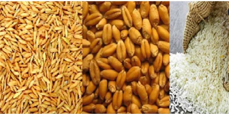 ১০ লাখ ৩০ হাজার টন খাদ্যশস্য আমদানি করবে সরকার।।
