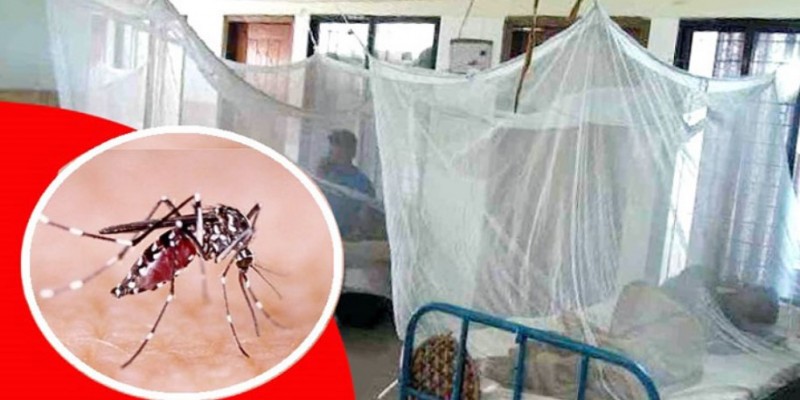 ডেঙ্গুতে দুই জনের মৃত্যু।।হাসপাতালে ভর্তি ৩৫৩