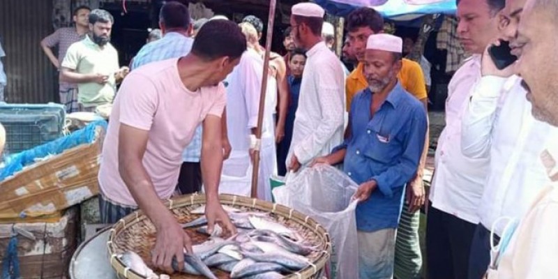 লক্ষ্মীপুরে সাড়ে ৩ মণ ইলিশ জব্দ।।ব্যবসায়ীর অর্থদণ্ড