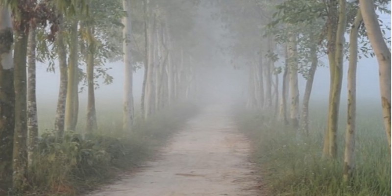 কড়া নাড়ছে শীত।।