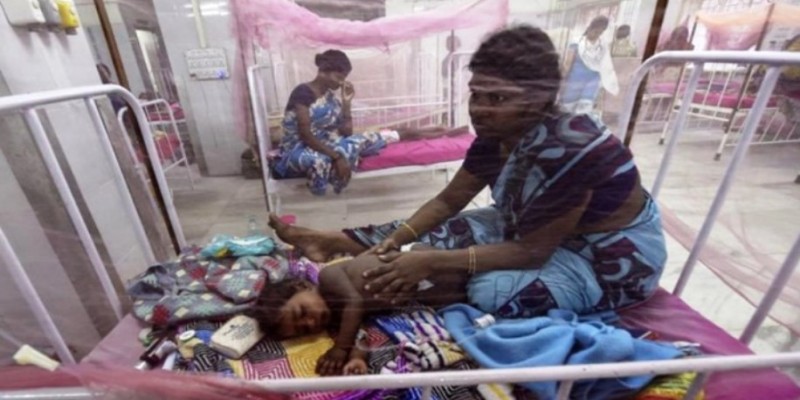 পশ্চিমবঙ্গের তুলনায় কলকাতায় ডেঙ্গুর হার বেশি।।মৃত ৩