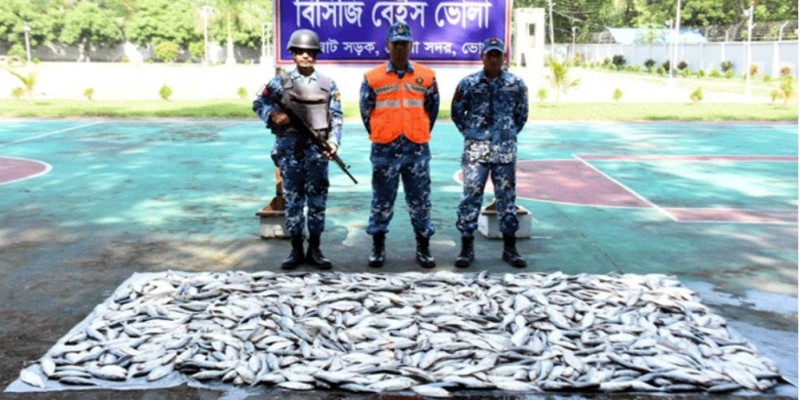 ভোলায় ২৭ মণ জাটকা জব্দ।।আটক ২