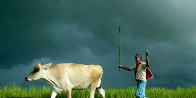 আকাশ অস্থায়ী মেঘলা থাকতে পারে।।
