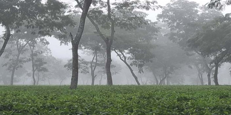 দেশের সর্বনিম্ন তাপমাত্রা শ্রীমঙ্গলে ।।