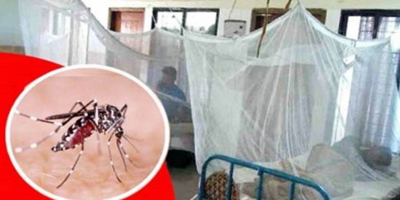 ডেঙ্গু।।২৪ ঘণ্টায় আক্রান্ত একজন