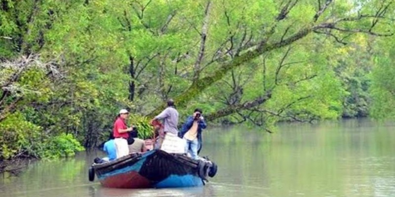 সুন্দরবনে ৪ দস্যু আটক।। আগ্নেয়াস্ত্র জব্দ