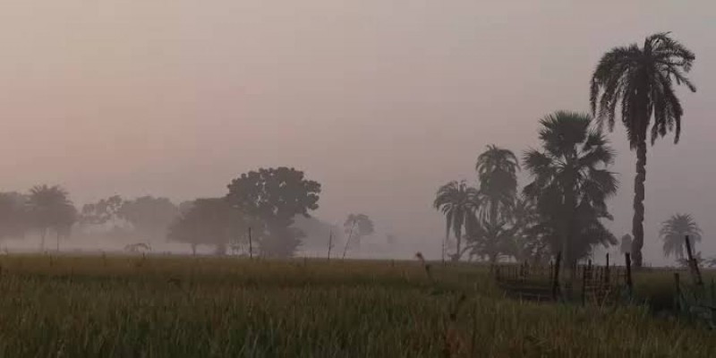 রাত-দিনের তাপমাত্রা অপরিবর্তিত থাকবে।।