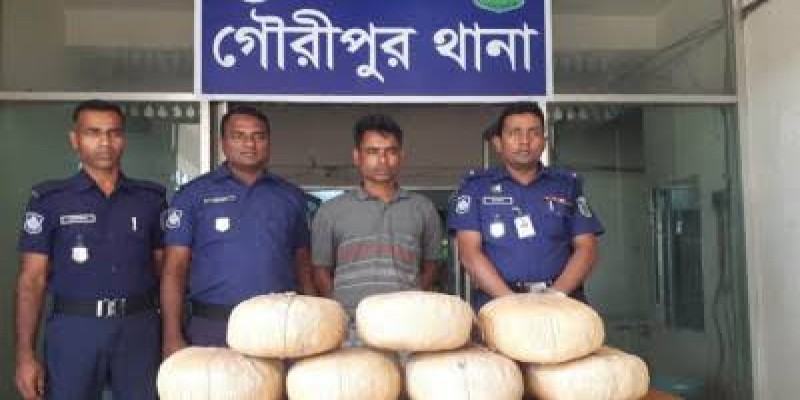গৌরীপুরে ২১ কেজি গাঁজাসহ মাদক বিক্রেতা গ্রেফতার।।