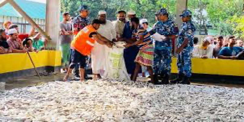 মেঘনায় ট্রলার থেকে ৬০০০ কেজি জাটকা জব্দ।।