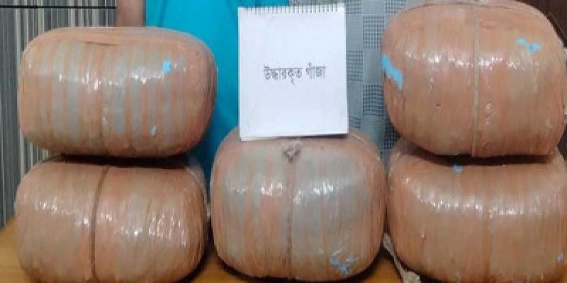 বনানীতে ১৮ কেজি গাঁজাসহ গ্রেফতার ২।।