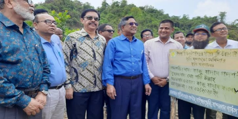 কাজু-কফি চাষে পাল্টে যাবে পাহাড়ের অর্থনৈতিক চেহারা।।কৃষিমন্ত্রী