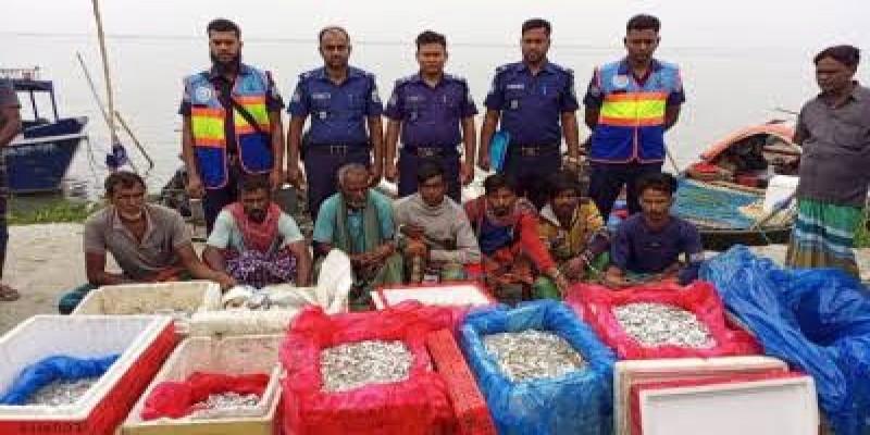 পদ্মায় ৪০ মণ জাটকা-সোয়া লাখ মিটার জালসহ আটক ৭।।