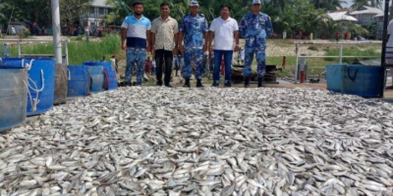 মাদারীপুরে সাড়ে ৩ হাজার কেজি জাটকা উদ্ধার।।