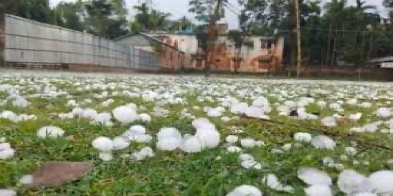 শিলাবৃষ্টি হতে পারে কোথাও কোথাও।।