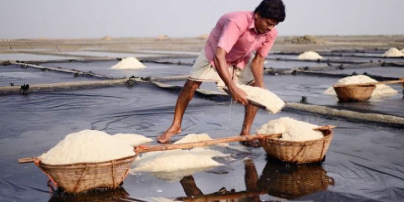 ৬২ বছরের মধ্যে সর্বোচ্চ লবণ উৎপাদন।।