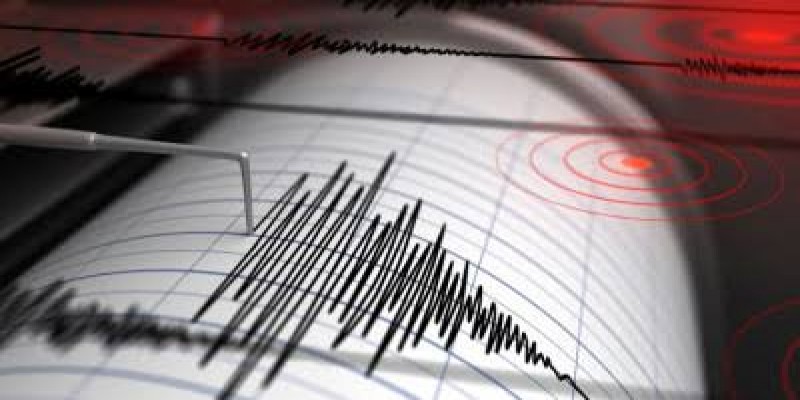 দ. প্রশান্ত মহাসাগরে ৭ দশমিক ১ মাত্রার শক্তিশালী ভূমিকম্প।।