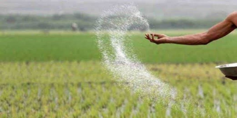 সরকার ৩৪৭ কোটি টাকার সার কিনছে ।।