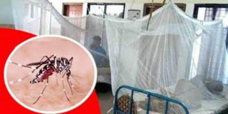 আরও ৭২ ডেঙ্গুরোগী হাসপাতালে ভর্তি।।