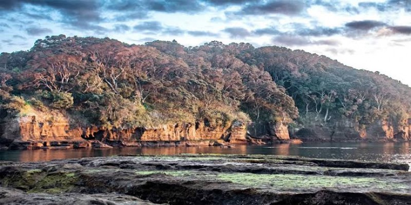 নিউজিল্যান্ডের উপকূলীয় অঞ্চলে শক্তিশালী।।