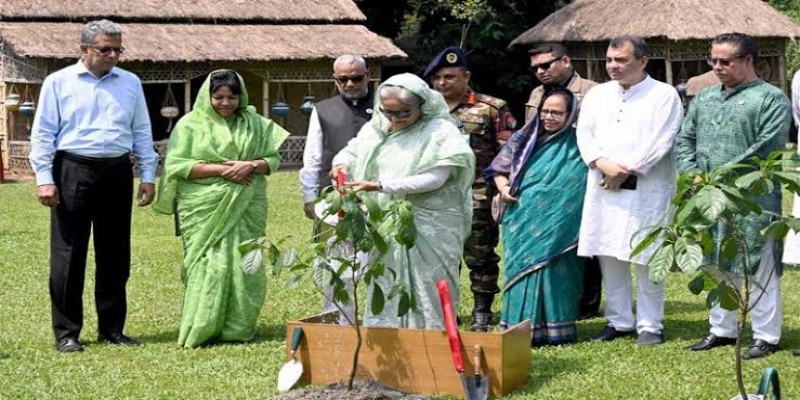 গণভবন প্রাঙ্গণে গাছের চারা রোপণ করলেন প্রধানমন্ত্রী ।।