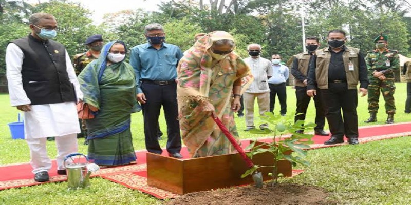 জলবায়ুর অভিঘাত থেকে রক্ষায় গাছ লাগানোর আহ্বান প্রধানমন্ত্রীর ।।