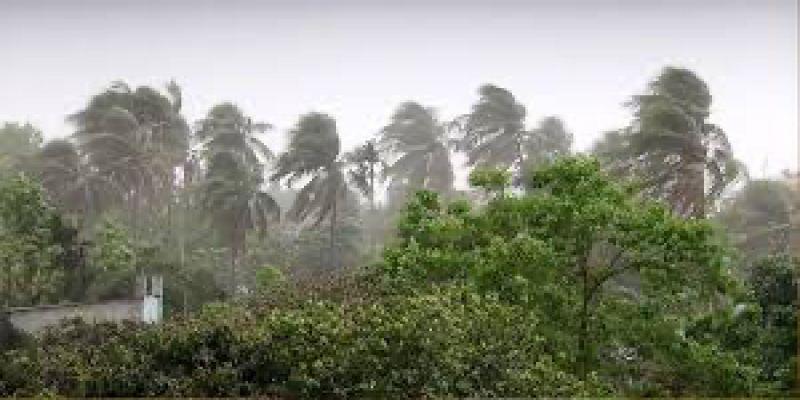 ঝড়-বৃষ্টি নিয়ে আবহাওয়া অফিসের সর্বশেষ পূর্বাভাস ।।