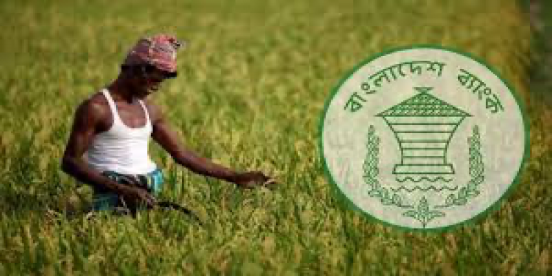 কৃষকদের ৩৫ হাজার কোটি টাকা ঋণ দেবে ব্যাংক