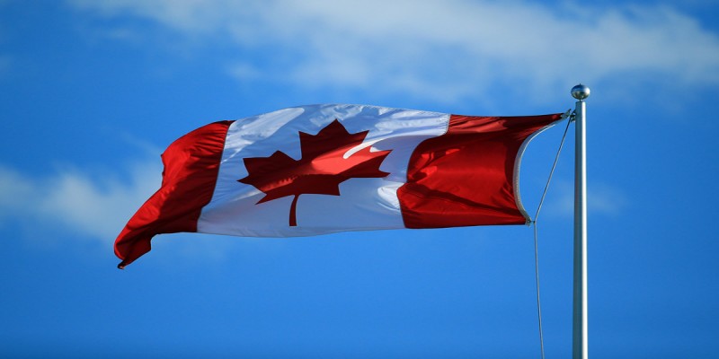 প্রতিবছর কানাডায় আসছে ৯ লাখ শিক্ষার্থী॥ লাগাম টানার কথা ভাবছে সরকার