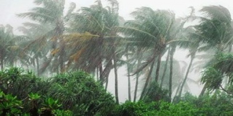 উপকূলীয় এলাকায় ৩ নম্বর সতর্কতা সংকেতঃ আবহাওয়া অধিদপ্তর