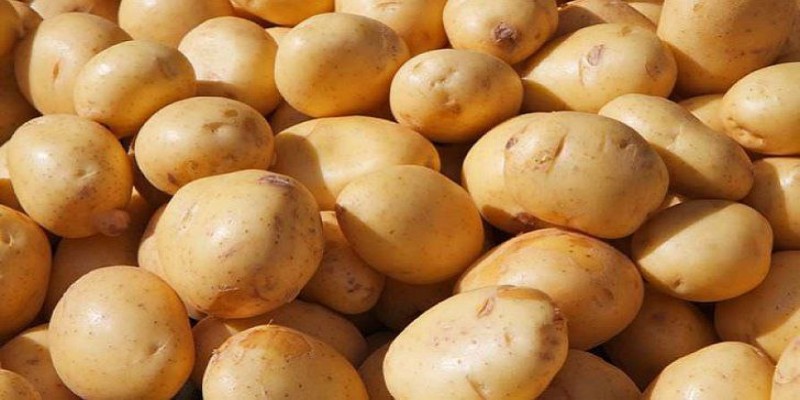 দেশে আলু আমদানির সিদ্ধান্ত