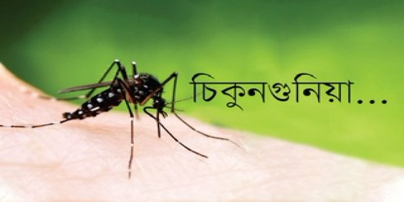 চিকুনগুনিয়ার প্রথম টিকার অনুমোদন দিলো মার্কিন যুক্তরাষ্ট্র