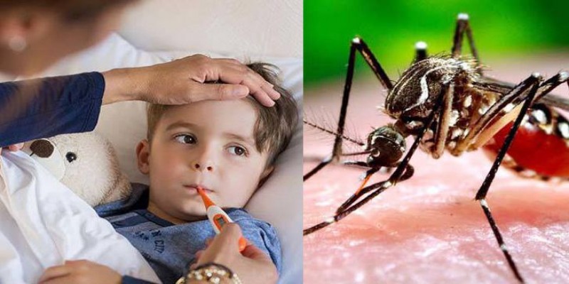 ডেঙ্গুতে আক্রান্ত হয়ে আরও সাতজনের মৃত্যু