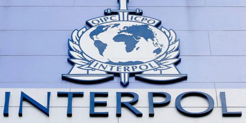 ১০০ বছর ধরে বিশ্বের কুখ্যাত অপরাধীদের পেছনে ছুটছে ইন্টারপোল