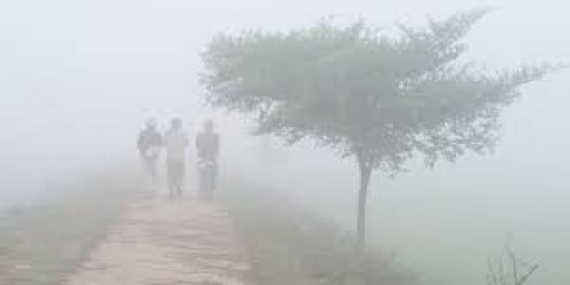 সহসা বিদায় নিচ্ছে না শীত॥ চলতি মাসেই আরও দু’টি শৈত্যপ্রবাহের শঙ্কা