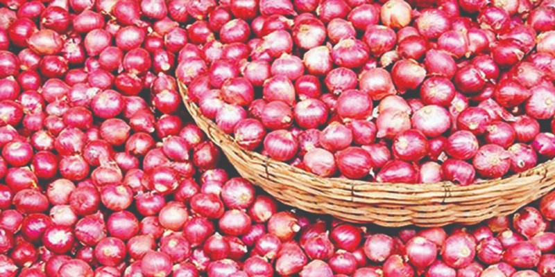 ভরা মৌসুমেও চড়া পেঁয়াজের বাজার॥