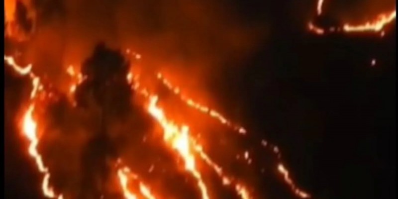 ভয়াবহ দাবানলে পুড়ছে ভারতের নৈনিতাল জঙ্গল॥নিয়ন্ত্রনে কাজ করছে সেনা ও বিমান
