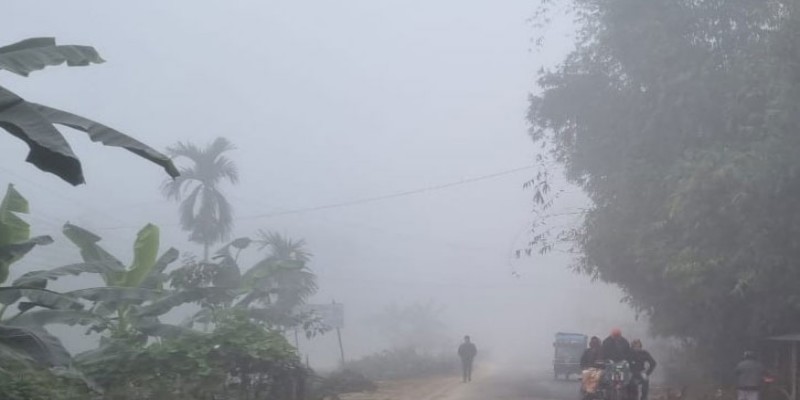 মাঘের শুরুতেই পঞ্চগড়ে ঘন কুয়াশায় বাড়ছে শীতের তীব্রতা॥