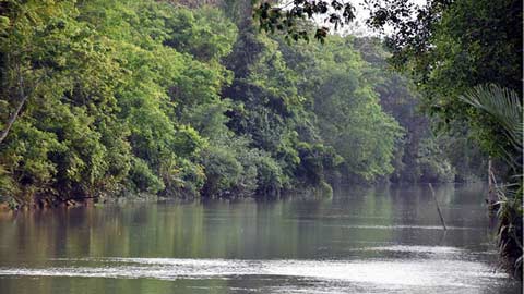 মুক্তিপণের দাবিতে সুন্দরবন থেকে ১০ জেলে অপহরণ করল বনদস্যুদল।।