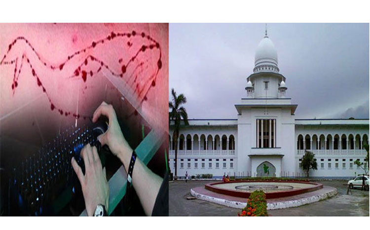 প্রাণঘাতী গেমের লিংক ও রাত্রিকালীন ইন্টারনেট বন্ধের নির্দেশ দিয়েছেন বাংলাদেশ হাইকোর্ট।।