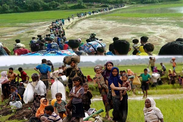 কক্সবাজারের উখিয়ার দু'লাখ রোহিঙ্গাদের বসবাস উপযোগী বৃহৎ আশ্রয়কেন্দ্রের নির্মাণ কাজ শুরু।।   