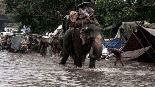 নেপালে ৪ দিনের বন্যায় নিহত ৭০, বিদেশি পর্যটকদের উদ্ধারে কাজে নেমেছে হাতি