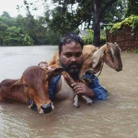 উত্তরাঞ্চলের বন্যা পরিস্থিতি আরো অবনতি ।। ভয়াবহ মানবিক বিপর্যয়ের আশঙ্কা.....