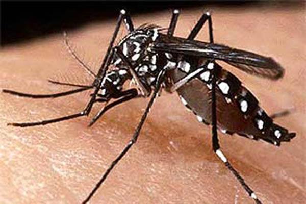 ডেঙ্গুতে আক্রান্ত হয়ে একই দিনে বাবা-ছেলের মৃত্যু।।