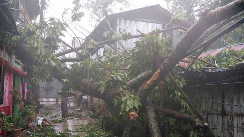 আজ বিকেলে রাজশাহীতে হঠাৎ ঘূর্ণিঝড় ।। ১০টি গ্রাম লণ্ডভণ্ড, একজনের মৃত্যু   