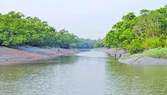 সুন্দরবন সংলগ্ন ৫২ ইউনিয়নকে পরিবেশ বিপন্ন এলাকা ঘোষণা।।      