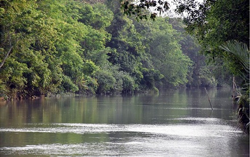 অভ্যন্তরীণ সংঘর্ষে সুন্দরবনের দস্যু বাহিনীর প্রধান নূর হোসেন নিহত।।