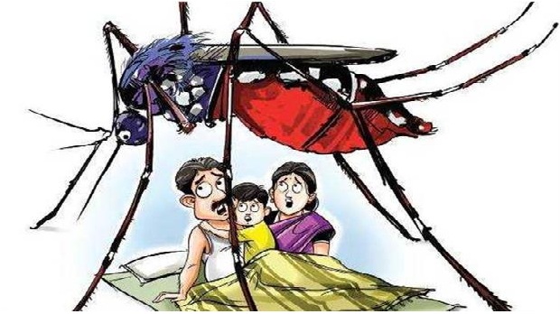 স্মরনকালের ভয়াবহতম মশার উপদ্রবে অতিষ্ঠ রাজধানি বাসী।।