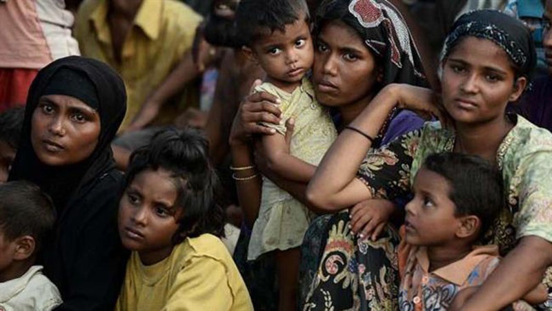 বাংলাদেশে ৮ লাখ ১৭ হাজার রোহিঙ্গা আশ্রয় নিয়েছে : আইওএম   