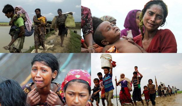 রোহিঙ্গাদের নিরাপদে নিজভূমি রাখাইনে ফিরে যাওয়া প্রত্যাশা করে ইইউ।