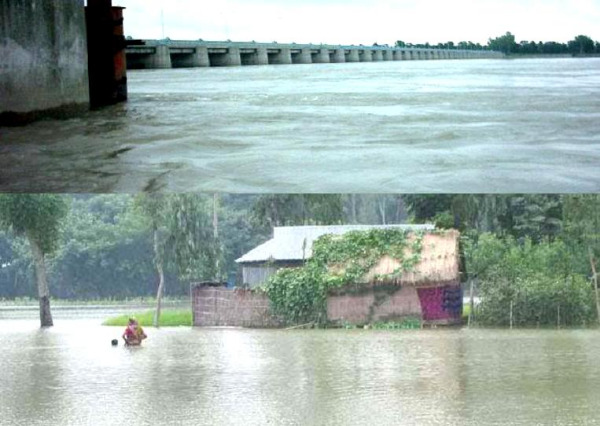 বিপদসীমার ২৫ সেন্টিমিটার উপরে বইছে তিস্তার পানি, লালমনিরহাট নতুন করে বন্যা   